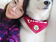 -Husky Go! 哈士奇体验馆·宠物咖啡厅狗咖