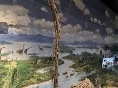 -自贡恐龙博物馆