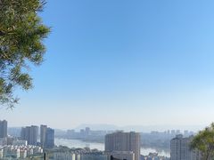 -福道