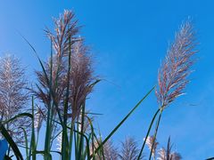 -福州大学(旗山校区)