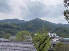 -龙井村
