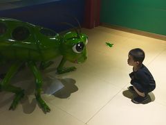 -上海昆虫博物馆