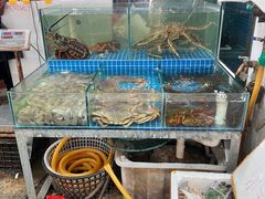 -众彩物流水产市场