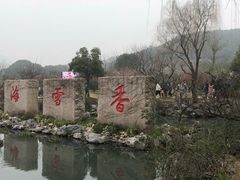 -香雪海