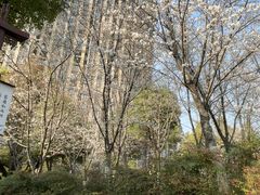 -堤角公园