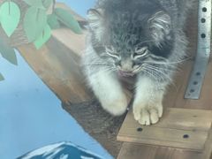 -青藏高原野生动物园