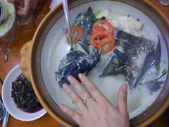 -全乐鱼馆·淳牌有机鱼直营店