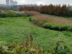 -贵阳市花溪国家城市湿地公园