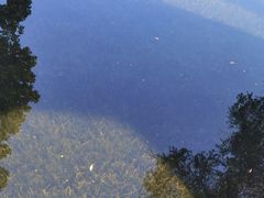 -荔枝公园(福田区)