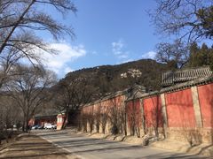 -窦大夫祠