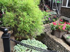 -山菌美食苑(振兴路店)