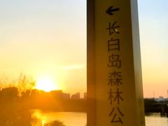 -长白岛森林公园