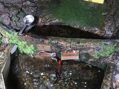 -龙湾潭国家森林公园
