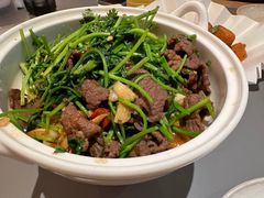 香菜炒牛肉-桂满陇·蟹黄小笼汤包(巴黎春天浦建店)