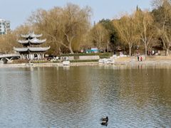 -陶然亭公园