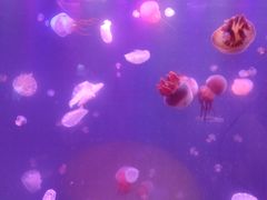 -欧亚达商业广场(红桥店)