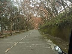 -绵竹市汉旺地震遗址公园