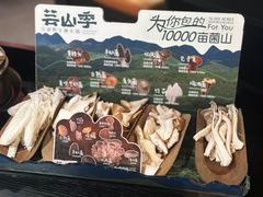 -芸山季·云南野生菌火锅(人民广场来福士店)