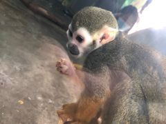 -西安秦岭野生动物园