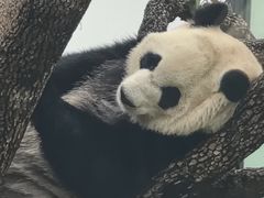 -无锡动物园·太湖欢乐园