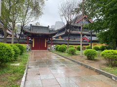 -长白岛森林公园