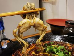 -鸿顺老铁锅美蛙鱼府(解放碑店)