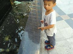 -蓝蔻酒店(深圳东站布吉万象汇店)