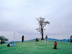 -东钱湖旅游度假区