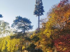 -秦岭风景区