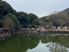 -灵岩山风景区