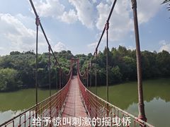 -上海吴淞炮台湾国家湿地公园