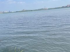 -南湖国家城市湿地公园