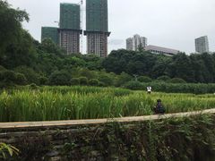 -龙头寺公园