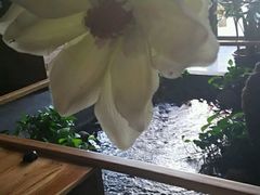 android_upload_pic-山有花啡餐厅(常营总店)