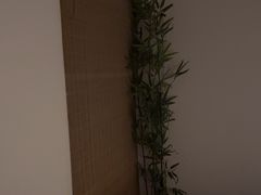 -君之悦·明镜台·SPA古禅足道(解放碑店)