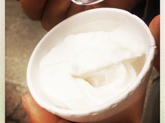 -洪馨椰子