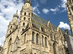 -斯蒂芬主教座堂(Stephansdom)