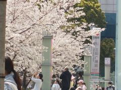 -蠡湖大桥公园