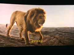 -AMG海上明珠影城(上海环球港RealDCinema店)