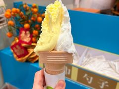 -柠檬车露(卖草地店)