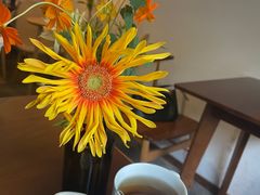 -竹子咖啡bamboo coffee
