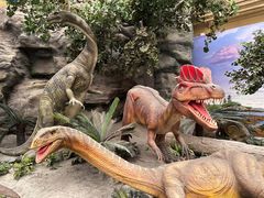 -国家自然博物馆