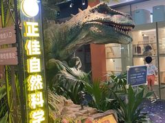 -正佳自然科学博物馆