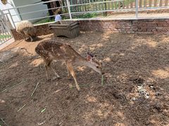 -丽泽山庄·生态怀柔菜·虹鳟鱼(红螺寺店)