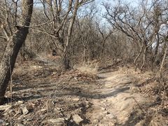 -北京西山国家森林公园