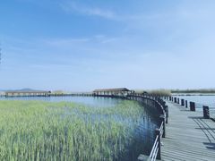 -太湖湖滨国家湿地公园-停车场