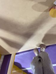 -多奇妙乐园·淘气堡·电玩·抓娃娃(海口吾悦店)