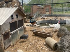 -清风小镇闯关东影视基地