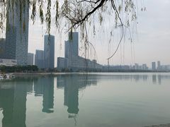 -天鹅湖体育公园