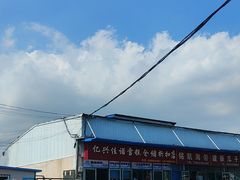 -亿兴佳诺雪糕批发